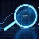 Security audit icon